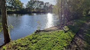 Etang la Balastière à la Flèche - Plump Lake - Poste 1 ( Swim 1)